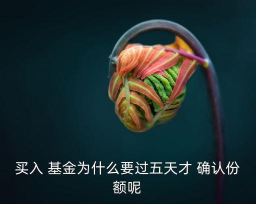 基金購(gòu)買確認(rèn)時(shí)間,基金按購(gòu)買日還是確認(rèn)日算