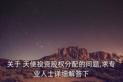 關于 天使投資股權分配的問題,求專業(yè)人士詳細解答下