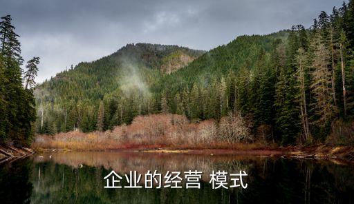 企業(yè)的經(jīng)營(yíng) 模式