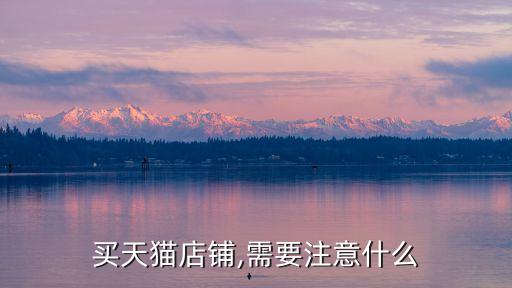 買(mǎi)天貓店鋪,需要注意什么