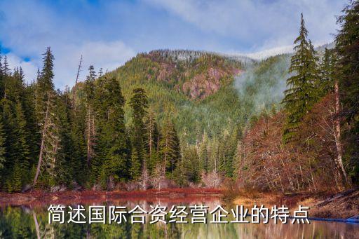 簡述國際合資經(jīng)營企業(yè)的特點