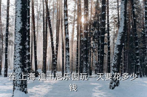 在 上海 迪士尼樂(lè)園玩一天要花多少錢