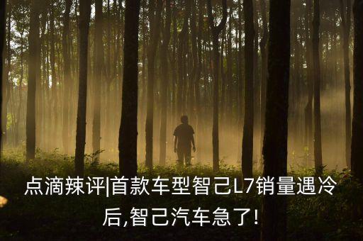 點(diǎn)滴辣評(píng)|首款車型智己L7銷量遇冷后,智己汽車急了!