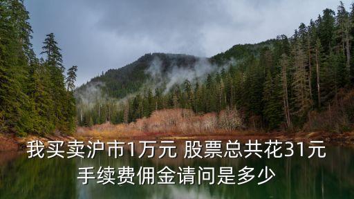 長城證券股票交易的費(fèi)用,支持長城證券的股票交易軟件