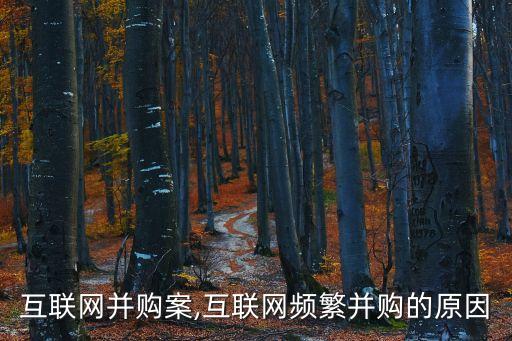 中國互聯(lián)網并購案,互聯(lián)網頻繁并購的原因