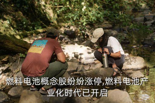 燃料電池概念股紛紛漲停,燃料電池產(chǎn)業(yè)化時(shí)代已開(kāi)啟