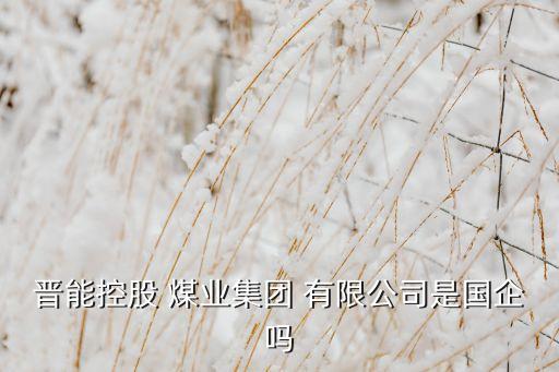 晉能控股 煤業(yè)集團(tuán) 有限公司是國(guó)企嗎