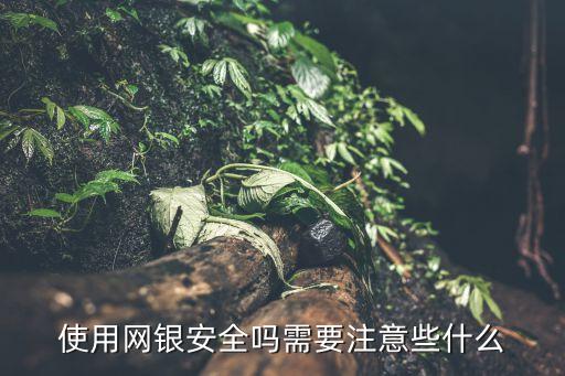 如何安全使用網上銀行,網上銀行存款安全嗎可靠嗎