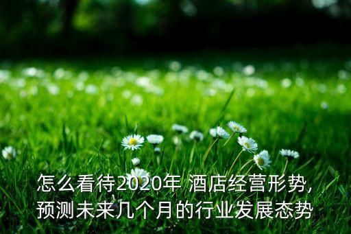 雅高酒店集團的競爭,雅高集團旗下酒店品牌及檔次