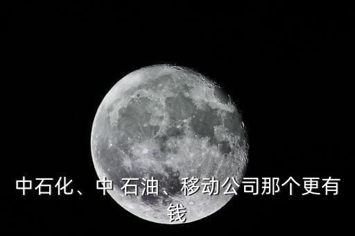 中石化、中 石油、移動(dòng)公司那個(gè)更有錢(qián)