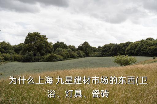 為什么上海 九星建材市場的東西(衛(wèi)浴、燈具、瓷磚