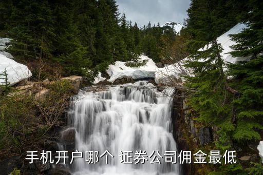 手機(jī)開戶哪個 證券公司傭金最低