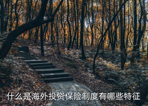 什么是海外投資保險制度有哪些特征