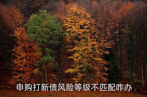  申購打新債風險等級不匹配咋辦