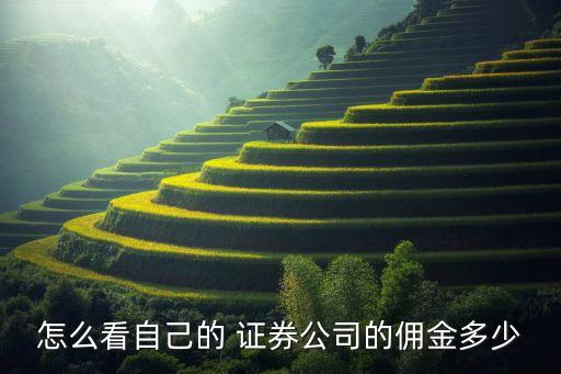 怎么看自己的 證券公司的傭金多少