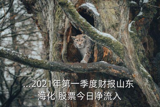 st?；善??；善睔v史交易數(shù)據(jù)