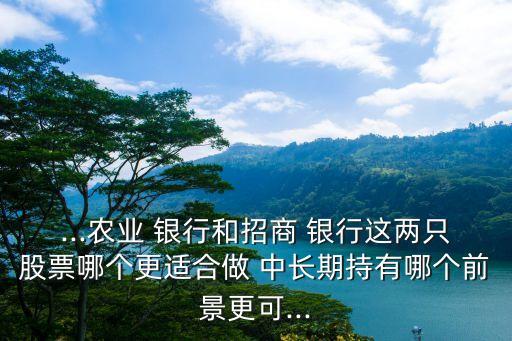 ...農(nóng)業(yè) 銀行和招商 銀行這兩只股票哪個(gè)更適合做 中長(zhǎng)期持有哪個(gè)前景更可...