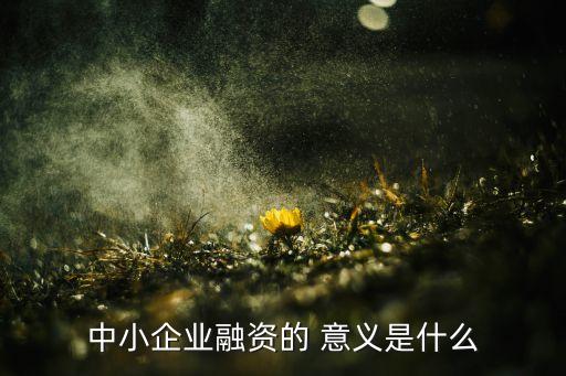 公司金融對(duì)我國(guó)的意義,公司成立金融部門(mén)的意義
