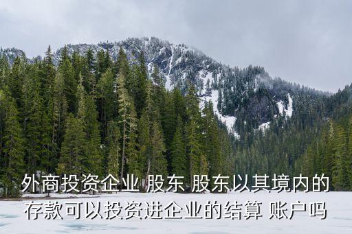 外商投資企業(yè) 股東 股東以其境內(nèi)的存款可以投資進(jìn)企業(yè)的結(jié)算 賬戶(hù)嗎