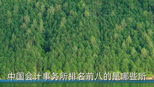 中國會(huì)計(jì)事務(wù)所排名前八的是哪些所