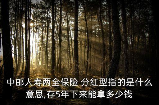 中郵人壽兩全保險(xiǎn) 分紅型指的是什么意思,存5年下來能拿多少錢