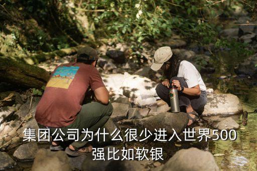  集團(tuán)公司為什么很少進(jìn)入世界500強比如軟銀