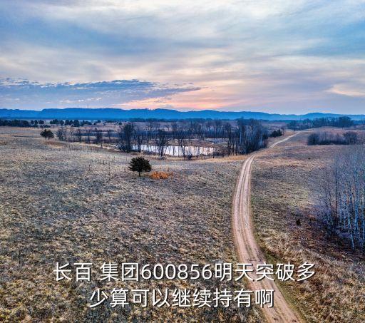 長百集團