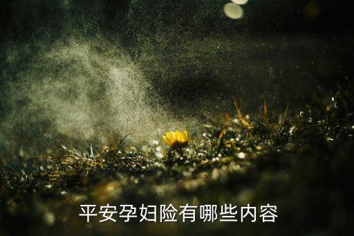 中國(guó)平安懷孕保險(xiǎn)