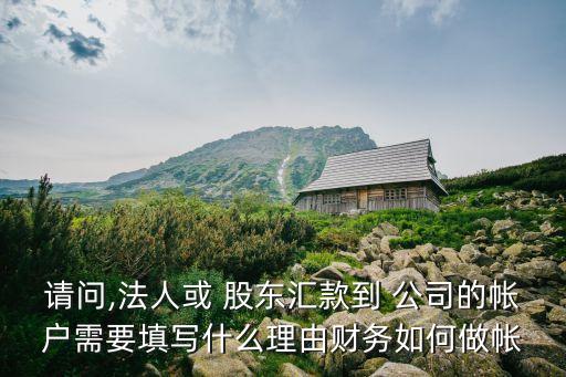 請(qǐng)問(wèn),法人或 股東匯款到 公司的帳戶(hù)需要填寫(xiě)什么理由財(cái)務(wù)如何做帳