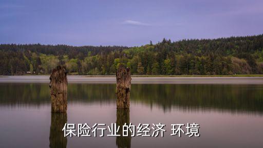 保險公司環(huán)境