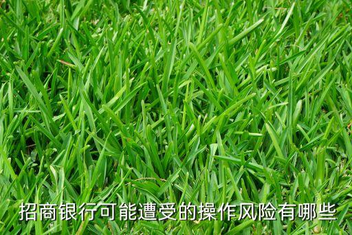  招商銀行可能遭受的操作風險有哪些