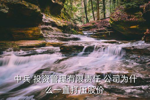  中兵 投資管理有限責(zé)任 公司為什么一直打壓股價(jià)