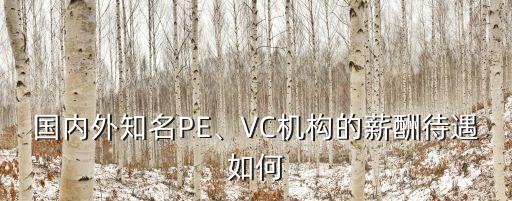 國內(nèi)外知名PE、VC機構(gòu)的薪酬待遇如何