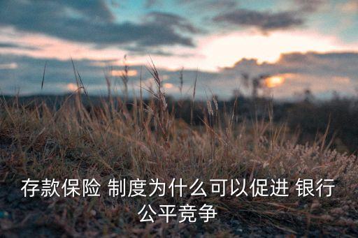 銀行保險(xiǎn)制度對(duì)銀行的影響