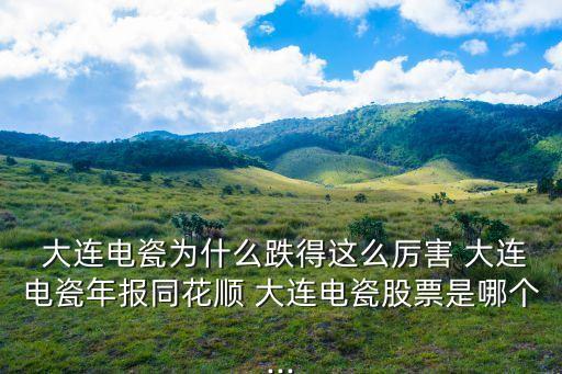 大連昊海科技股份有限公司,大連華陽(yáng)新材料科技股份有限公司
