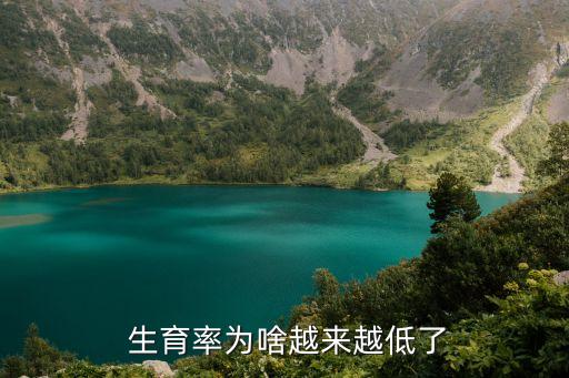 中國(guó)低生育陷阱,低生育陷阱名詞解釋