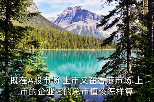 既在A股市場 上市又在香港市場 上市的企業(yè)它的總市值該怎樣算