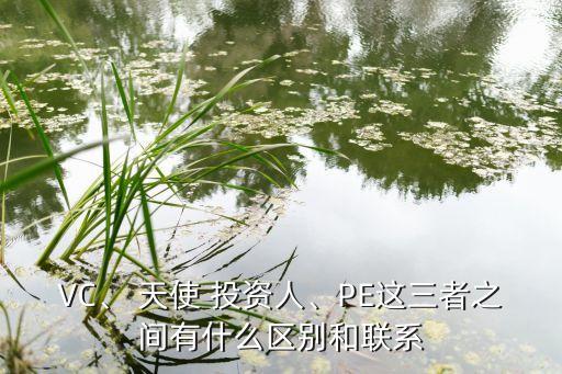 VC、 天使 投資人、PE這三者之間有什么區(qū)別和聯(lián)系