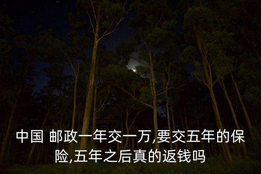 中國 郵政一年交一萬,要交五年的保險(xiǎn),五年之后真的返錢嗎