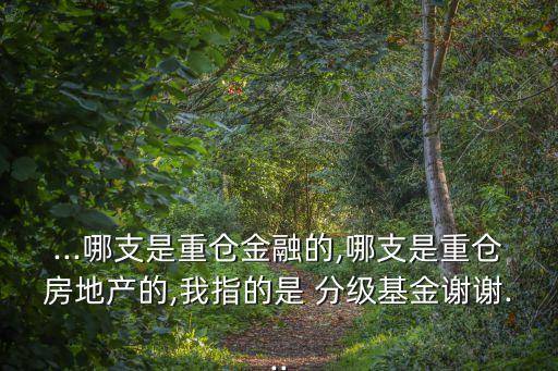 ...哪支是重倉(cāng)金融的,哪支是重倉(cāng)房地產(chǎn)的,我指的是 分級(jí)基金謝謝...