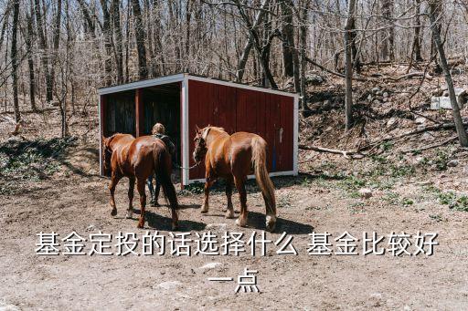 基金定投買什么,基金購(gòu)買