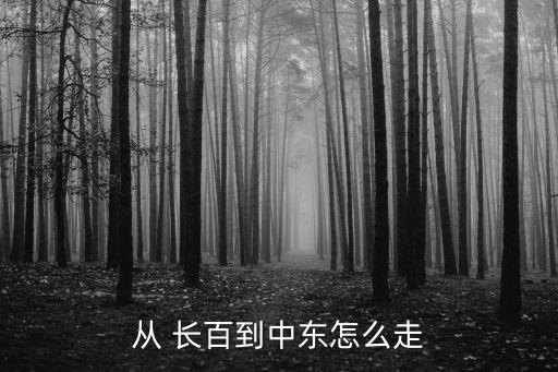 從 長百到中東怎么走