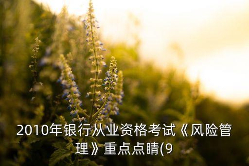 2010年銀行從業(yè)資格考試《風(fēng)險管理》重點點睛(9