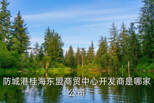 防城港桂海東盟商貿(mào)中心開(kāi)發(fā)商是哪家公司
