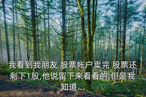 我看到我朋友 股票帳戶賣完 股票還剩下1股,他說(shuō)留下來(lái)看看的,但是我知道...