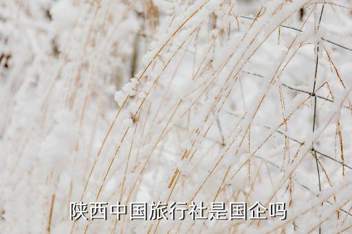 陜西旅游集團工資改革