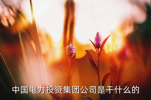 中國電力投資集團(tuán)公司是干什么的