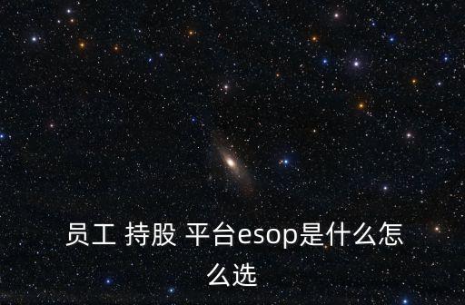  員工 持股 平臺(tái)esop是什么怎么選