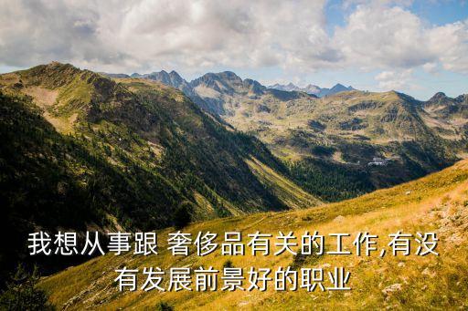 我想從事跟 奢侈品有關(guān)的工作,有沒(méi)有發(fā)展前景好的職業(yè)