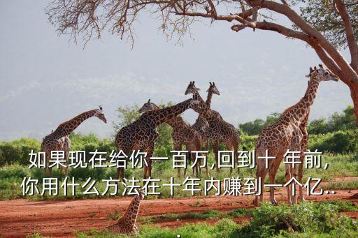 如果現(xiàn)在給你一百萬,回到十 年前,你用什么方法在十年內(nèi)賺到一個(gè)億...
